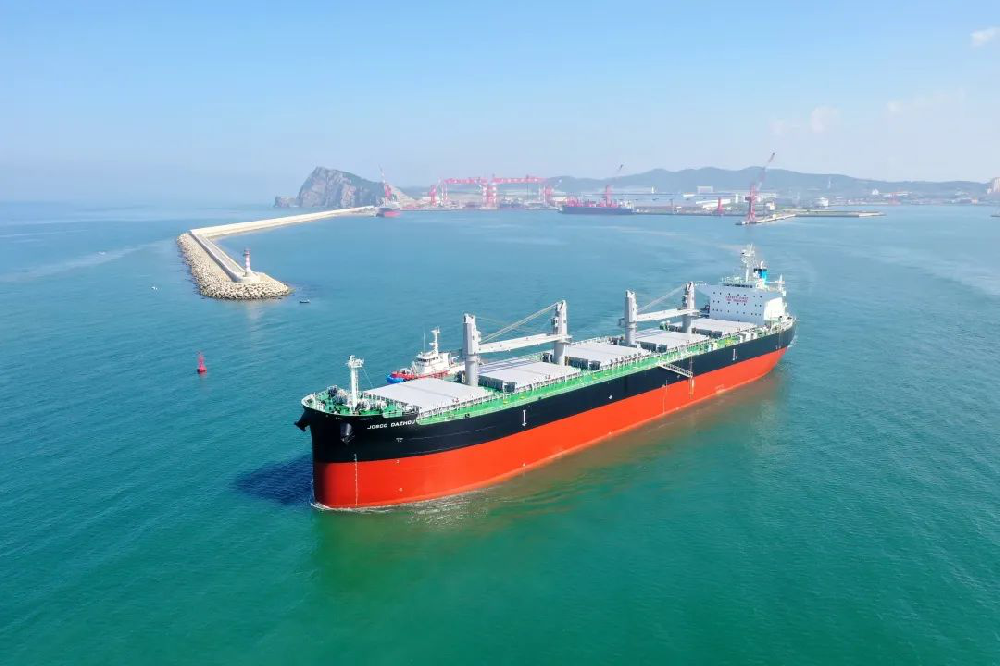 江蘇遠洋全力提升水運服務能力 “海上鋼鐵駝隊”跑出“一帶一路”金通道