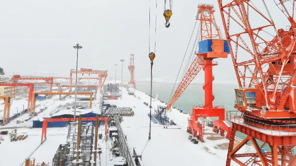 江蘇遠(yuǎn)洋散貨公司：落實(shí)黨代會(huì)精神，以“硬舉措”賦能新程